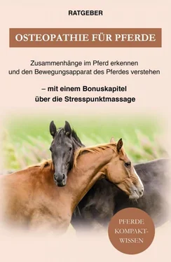 Pferde Kompaktwissen Osteopathie für Pferde обложка книги