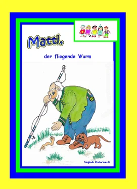 Sieglinde Breitschwerdt Matti, der fliegende Wurm обложка книги