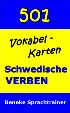 Beneke Sprachtrainer Vokabel-Karten Schwedische Verben обложка книги