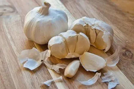 Garlic boosts the lust for love Wrong Its an ancient legend Scientists of - фото 23