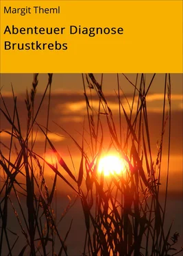 Margit Theml Abenteuer Diagnose Brustkrebs обложка книги