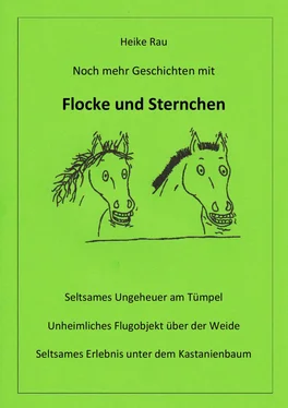 Heike Rau Noch mehr Geschichten mit Flocke und Sternchen обложка книги
