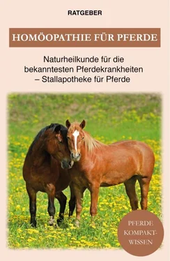 Pferde Kompaktwissen Homöopathie für Pferde обложка книги