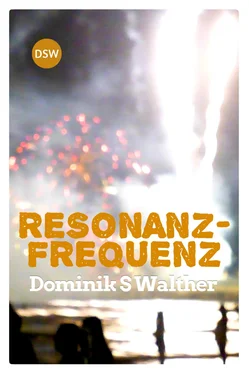 Dominik S Walther Resonanzfrequenz обложка книги