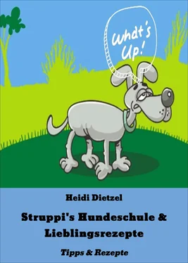 Heidi Dietzel Struppi's Hundeschule & Lieblingsrezepte обложка книги