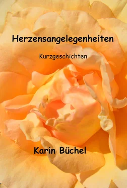 Karin Büchel Herzensangelegenheiten обложка книги