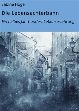 Sabine Hoge Die Lebensachterbahn обложка книги