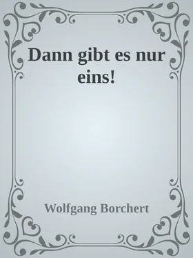 Wolfgang Borchert Dann gibt es nur eins! обложка книги