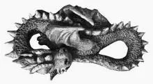 Drei Gibt es diesen Drachen wirklich Die materielle Form Deine Vorstellung - фото 12