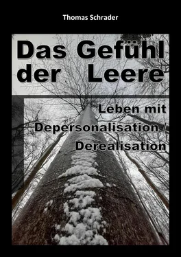 Thomas Schrader Das Gefühl der Leere обложка книги