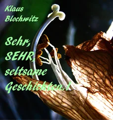 Klaus Blochwitz - Sehr, SEHR, seltsame Geschichten