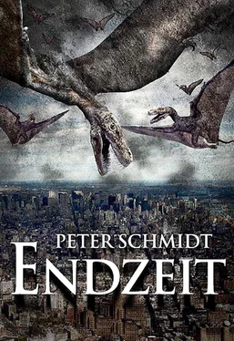 Peter Schmidt Endzeit обложка книги