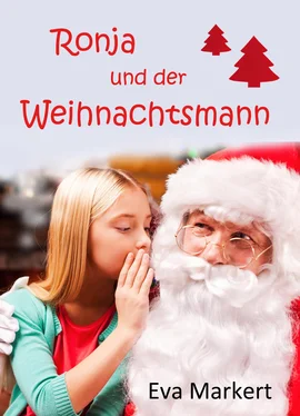 Eva Markert Ronja und der Weihnachtsmann обложка книги
