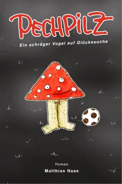 Matthias Naas Pechpilz обложка книги