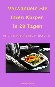 André Sternberg Verwandeln Sie Ihren Körper in 28 Tagen! обложка книги