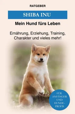 Mein Hund fürs Leben Ratgeber Shiba Inu обложка книги