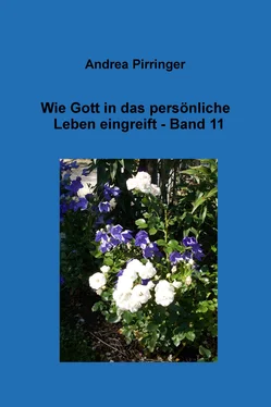 Andrea Pirringer Wie Gott in das persönliche Leben eingreift - Band 11 обложка книги