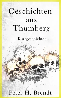 Peter H. Brendt Geschichten aus Thumberg (Band 1) обложка книги
