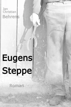 Christian Behrens Eugens Steppe обложка книги