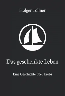 Holger Töllner Das geschenkte Leben обложка книги