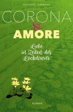 Susanne Tammena Corona & Amore обложка книги