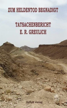 E.R. Greulich Zum Heldentod begnadigt обложка книги