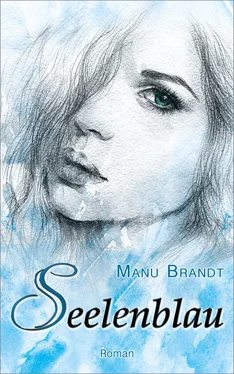 Manu Brandt Seelenblau обложка книги