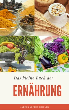 Andrea Sophia Löffler Das kleine Buch der Ernährung обложка книги