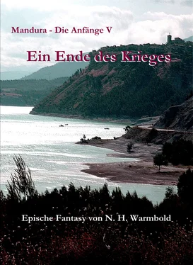 Nicole Heuer-Warmbold Ein Ende des Krieges обложка книги