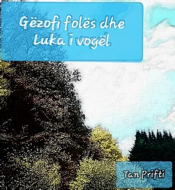 Tan Prifti Gëzofi folës dhe Luka i vogël обложка книги