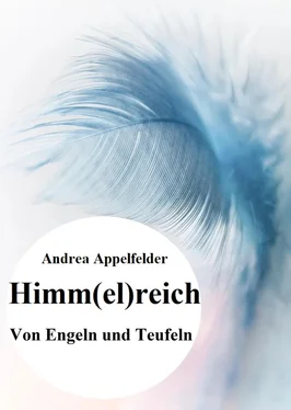 Andrea Appelfelder Himm(el)reich обложка книги