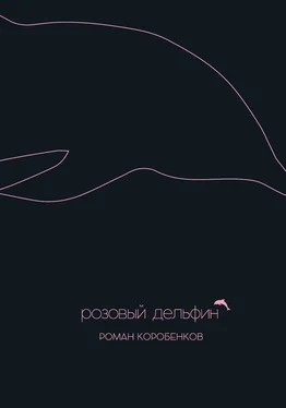 Роман Коробенков Розовый дельфин (сборник)
