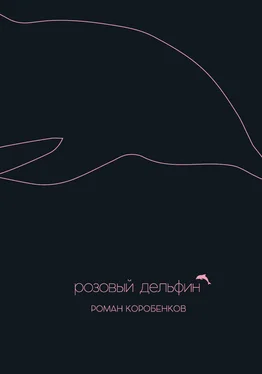 Роман Коробенков Розовый дельфин (сборник) обложка книги