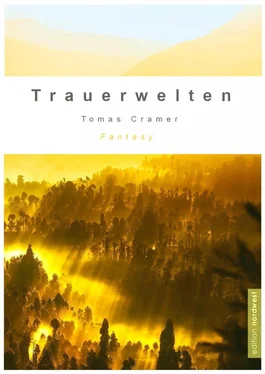 Tomas Cramer TrauerWelten обложка книги