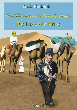 Niels Rudolph Die Kiste der Krise обложка книги