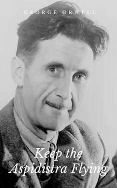 George Orwell Keep the Aspidistra Flying обложка книги