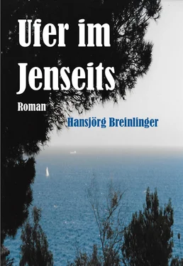 Hansjörg Breinlinger Ufer Im Jenseits обложка книги