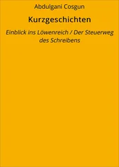 Abdulgani Cosgun - Kurzgeschichten