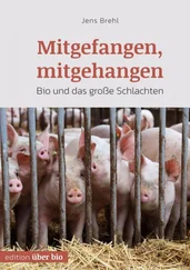 Jens Brehl - Mitgefangen, mitgehangen