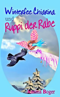 Annina Boger Winterfee Chiarina und Ruppi der Rabe обложка книги