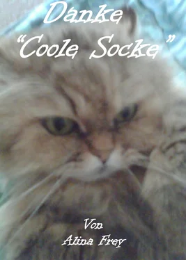 Alina Frey Danke Coole Socke обложка книги