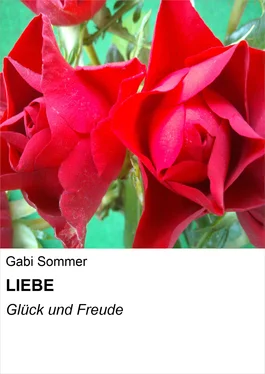 Gabi Sommer LIEBE обложка книги