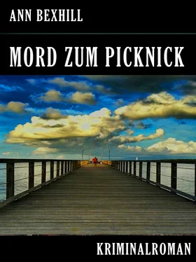 Ann Bexhill Mord zum Picknick обложка книги