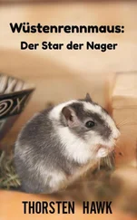 Thorsten Hawk - Wüstenrennmaus - Der Star der Nager