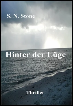 S. N. Stone Hinter der Lüge обложка книги