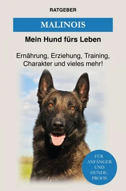 Mein Hund fürs Leben Ratgeber Malinois обложка книги