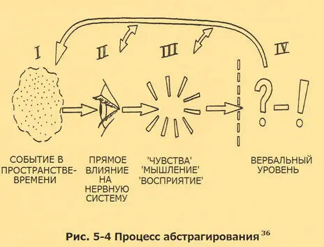 Уровень III обозначает результат цепочки абстракции вашей нервной системы от - фото 12