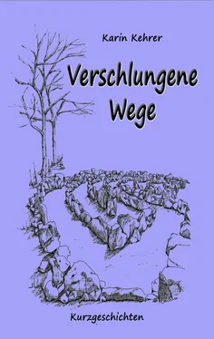 Karin Kehrer Verschlungene Wege обложка книги