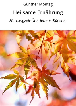 Günther Montag Heilsame Ernährung обложка книги