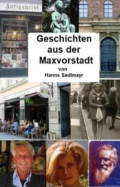 Hanns Sedlmayr Geschichten aus der Maxvorstadt обложка книги